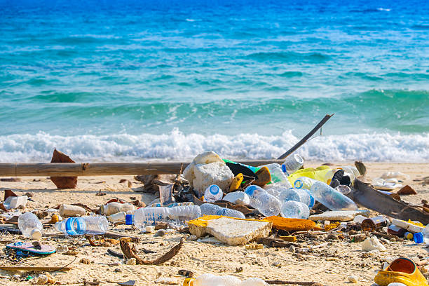 istock trash, plastic cups and plastic bags at the beach. environmental problem concept and healing the world 2210498477