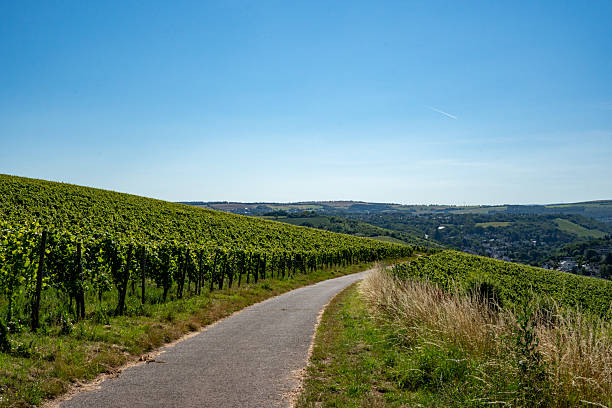 istock Vineyards and Rolling Hills in Trier, Germany 2210501530