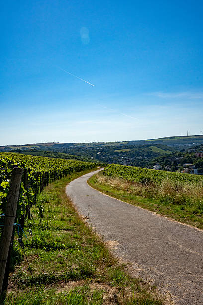 istock Vineyards and Rolling Hills in Trier, Germany 2210501536