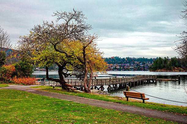 istock Pier at the Belcarra Regional Park 2210502171