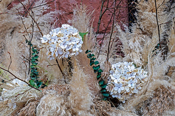 decorative composition of white flowers in the interior