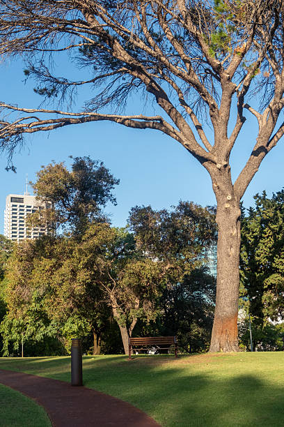King´s Park view on Perth CBD and the River Swan. Perth, Western Australia