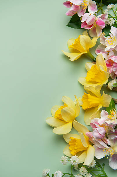 istock Daffodils and pink flowers creating a vibrant spring border on pastel green background 2210503976