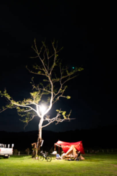 Camping in a forest at night time, blurred background
