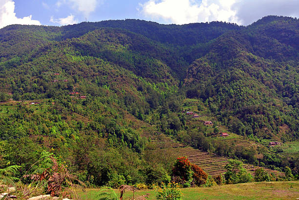istock A lush green mountain valley under a cloudy sky, with dense trees 2210515142