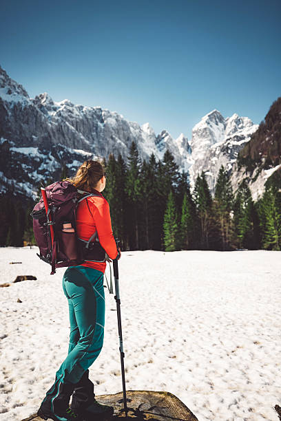 istock Hiker Admiring Snow-Covered Mountains 2210517993