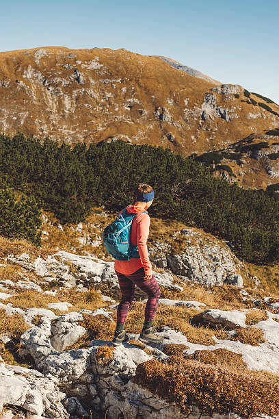 istock Hiker Enjoying Scenic Mountain View in Autumn 2210518564