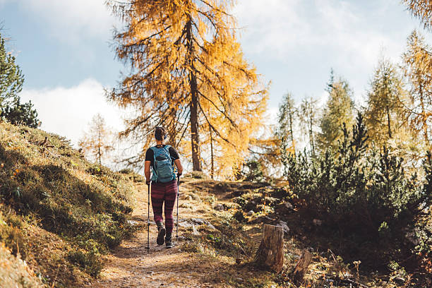 istock Hiker on an Autumn Trail in Nature 2210518615