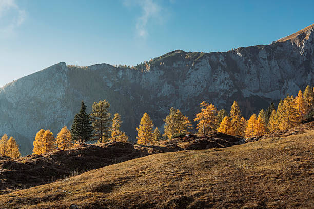 A serene landscape featuring autumnal trees with golden foliage, set against a backdrop of rugged mountains under a clear blue sky. The scene captures the beauty of nature in fall.