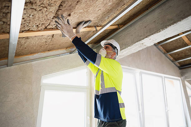 istock Worker Installing Insulation in a Ceiling of a Residential Attic Space 2210519206