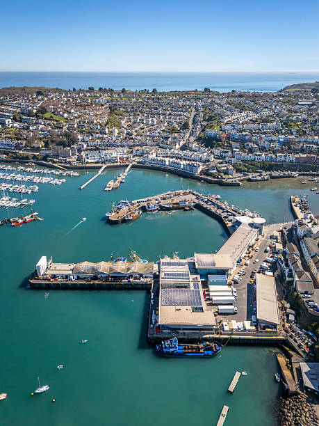 istock Brixham Fish Market Quayside 2210525169
