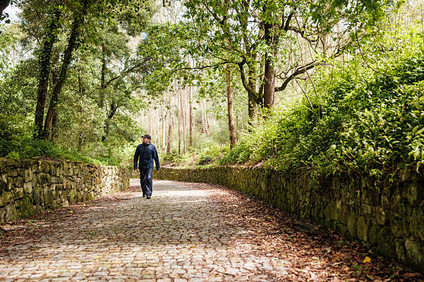 istock Man walking on cobblestone path in lush green forest 2210526106