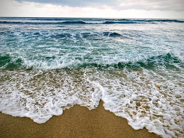 Foamy sea waves gently washing over a golden sandy beach on a tropical coast, calm ocean horizon in the background