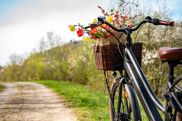 Bicycle tour in spring with flowers in the basket. Seasonal fun on a bike path in the sunlight. Background for a healthy lifestyle.