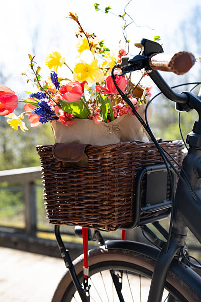 istock Bicycle tour in spring with flowers in the basket 2210536955