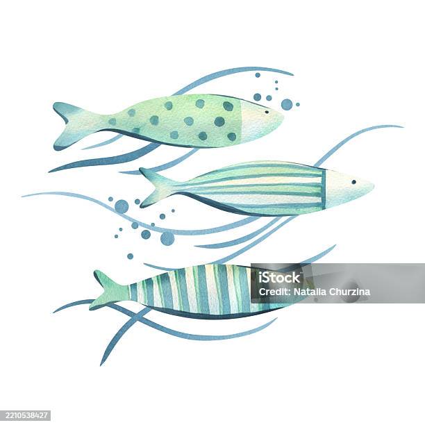 Fischblau Und Türkis Einfach In Wellenlinien Mit Blasen Aquarellillustration Handgezeichnet Zum Thema Meer Unterwasser Und Fischerei Anordnung Sublimation Isoliert Vom Hintergrund Stock Vektor Art und mehr Bilder von Abstrakt