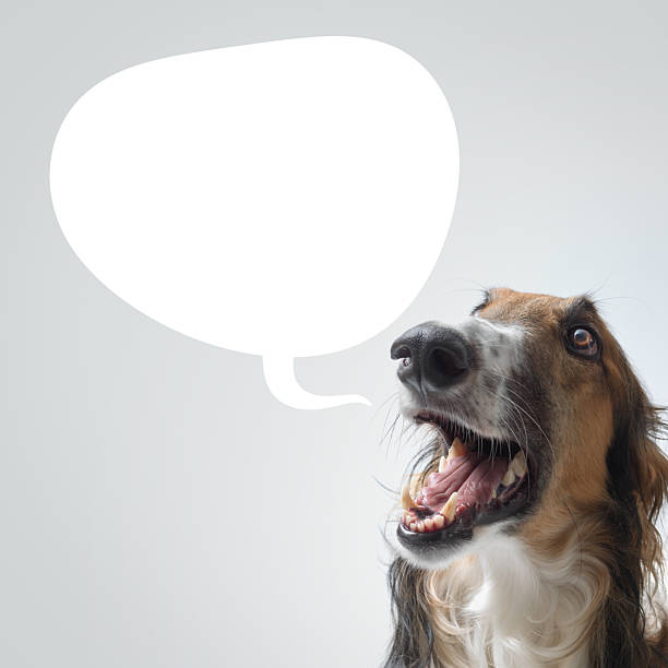 istock Cute dog talking and blank speech balloon 2210539173