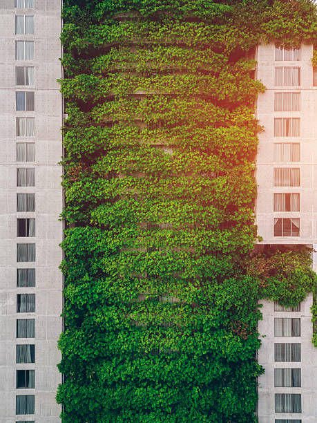 istock eco friendly green building with vertical garden, city harmony concept, sustainable architecture and urban nature balance 2210543151