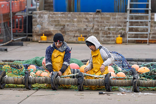 15 April 2025. Fraserburgh Harbour,Aberdeenshire,Scotland. This is Fisherman repairing the Fishing Net on the Harbour Pier.