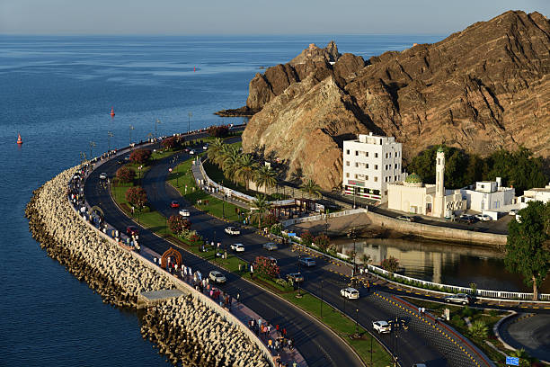 Aerial view of curving road along coastline, Oman