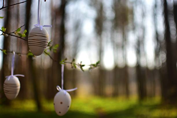 Easter eggs decoration hanging on tree branches in the forest sunny day. Concept of minimal easter decorations outside blurry background.