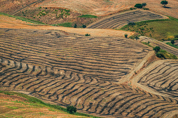 Lucani summer countryside landscapes, Basilicata, Italy