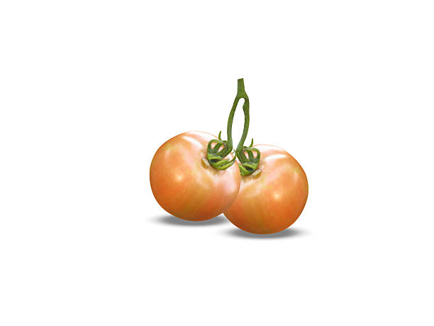 istock closupe ripe tomato or red Solanum lycopersicum 2210562380