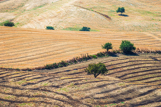 istock Lucani summer countryside landscapes, Basilicata, Italy 2210565304