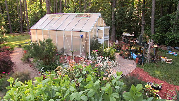 istock Backyard garden with small greenhouse 2210566832