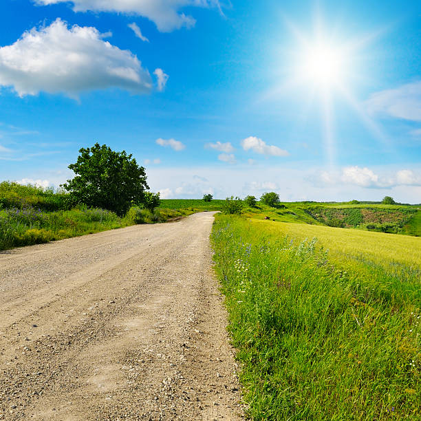 Wheat field, rural field road, hilly terrain and beautiful sun. Picturesque summer landscape.