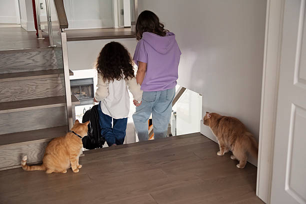 Multiracial mother and daughter going down stairs. Mom is in her forties and daughter is 8 year’s old. Two red cat following them. Horizontal full length indoors shot . This is part of a series « day in the life » taken in Quebec, Canada.