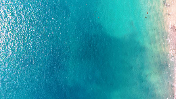 Turquoise water gently lapping against white sand beach in tropical paradise