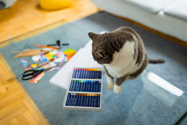 A curious cat sniffs at scissors and colorful paper scraps on a creative workspace. A moment of feline inspection caught in the middle of a project.