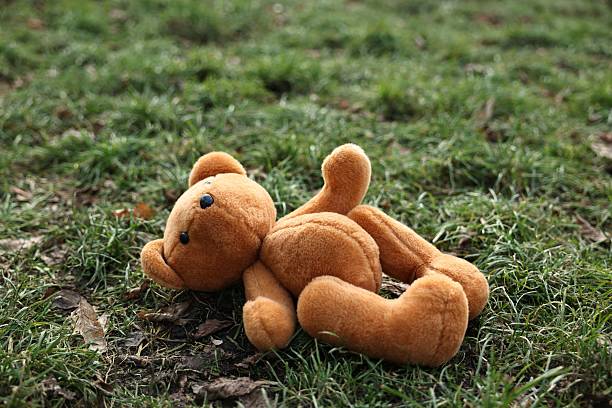 istock Lost brown teddy bear on green grass, closeup 2210583072