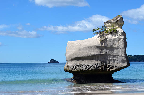 istock Cathedral Cove, Coromandel, North Island 2210588840