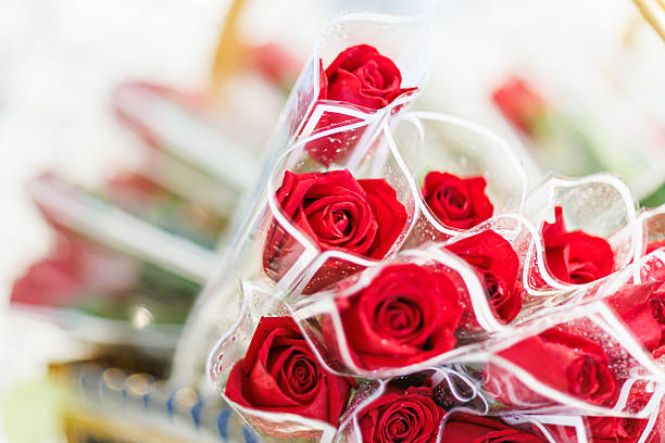 Beautiful red roses as a background, close up