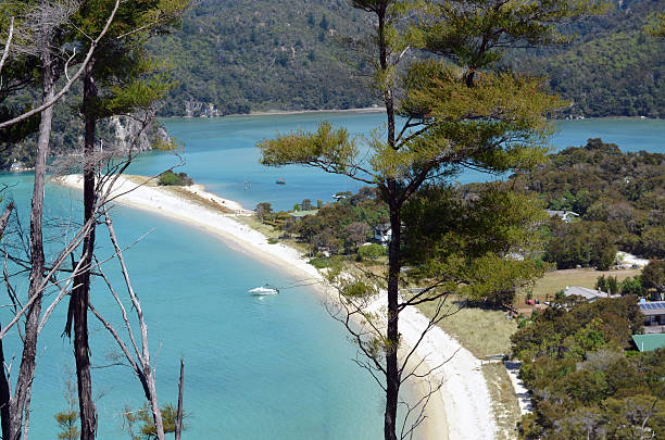 istock Torrent Bay, Abel Tasman National Park 2210589970