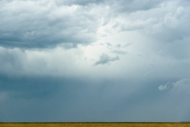 Here comes the rain! Storm clouds over a west Texas field with visible rain in the distance.