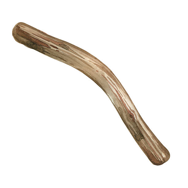 istock Aged brown tree branch for home decor, painted with watercolor. Watercolor illustration. Suitable for printing on paper, fabric, scrapbooking and decor 2210591712