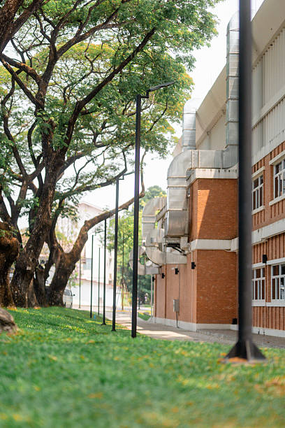 istock Green grass growing near a modern university building 2210591863