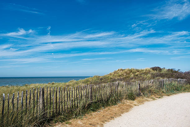 istock Dunes of Egmond aan Zee 2210591874