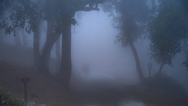 istock A Wal in Heavy Fog 2210596955