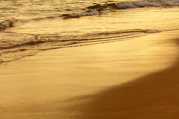 Indiana Dunes National Park, USA.