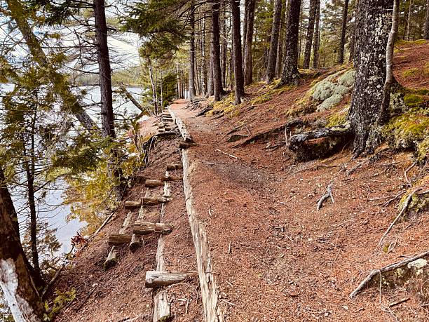 istock Lower Hadlock Pond, Acadia National Park 2210607709