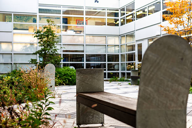 istock Modern Courtyard Featuring Minimalist Benches and Lush Surrounding Foliage 2210614025