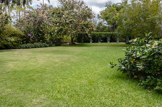 istock Manicured Garden with Plants, trees and a Trellis 2210618559