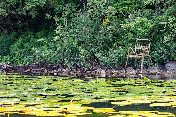 istock Rustic Chair By Verdant Lakeside With Blossoms and Lilypads 2210618870