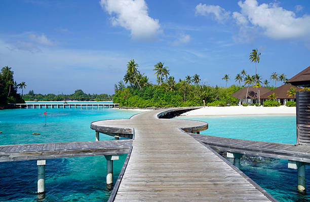 istock maldives tropical island 2210627258