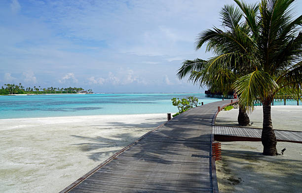 istock maldives tropical island 2210627489