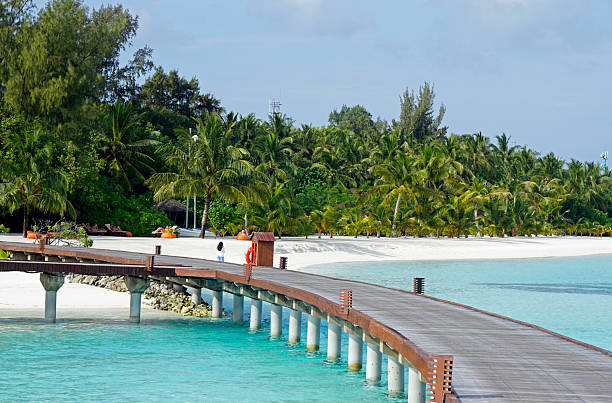istock maldives tropical island 2210627514